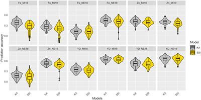 Genome-wide association and genomic prediction for iron and zinc concentration and iron bioavailability in a collection of yellow dry beans